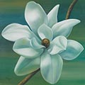 Image Not Available